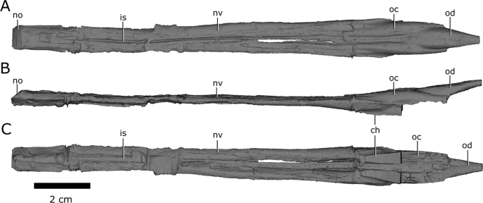 figure8