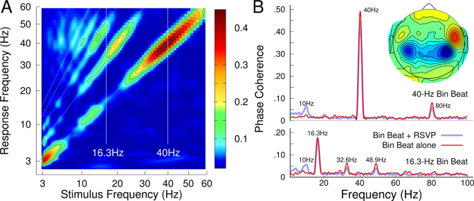 40-Hz Binaural beats enhance training to mitigate the attentional blink |  Scientific Reports