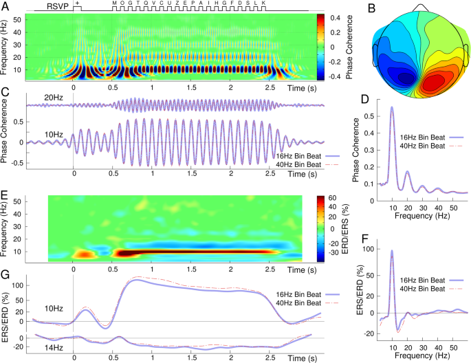 40-Hz Binaural beats enhance training to mitigate the attentional blink |  Scientific Reports