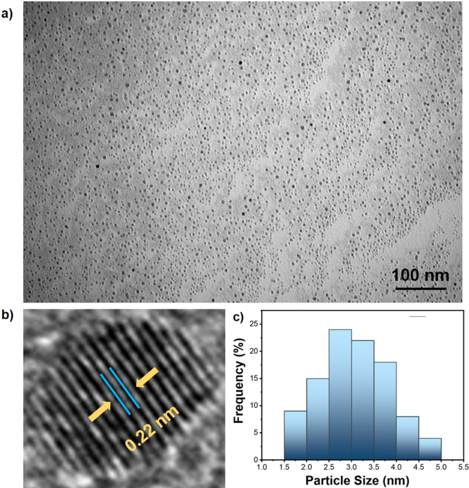 A Novel Highly Active And Reusable Carbon Based Platinum Ruthenium Nanocatalyst For Dimethylamine Borane Dehydrogenation In Water At Room Conditions Scientific Reports