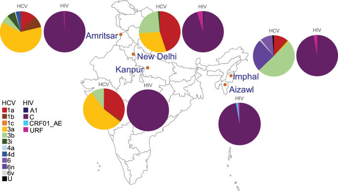 Diverse HCV Strains And HIV URFS Identified Amongst People Who Inject Drugs  In India | Scientific Reports
