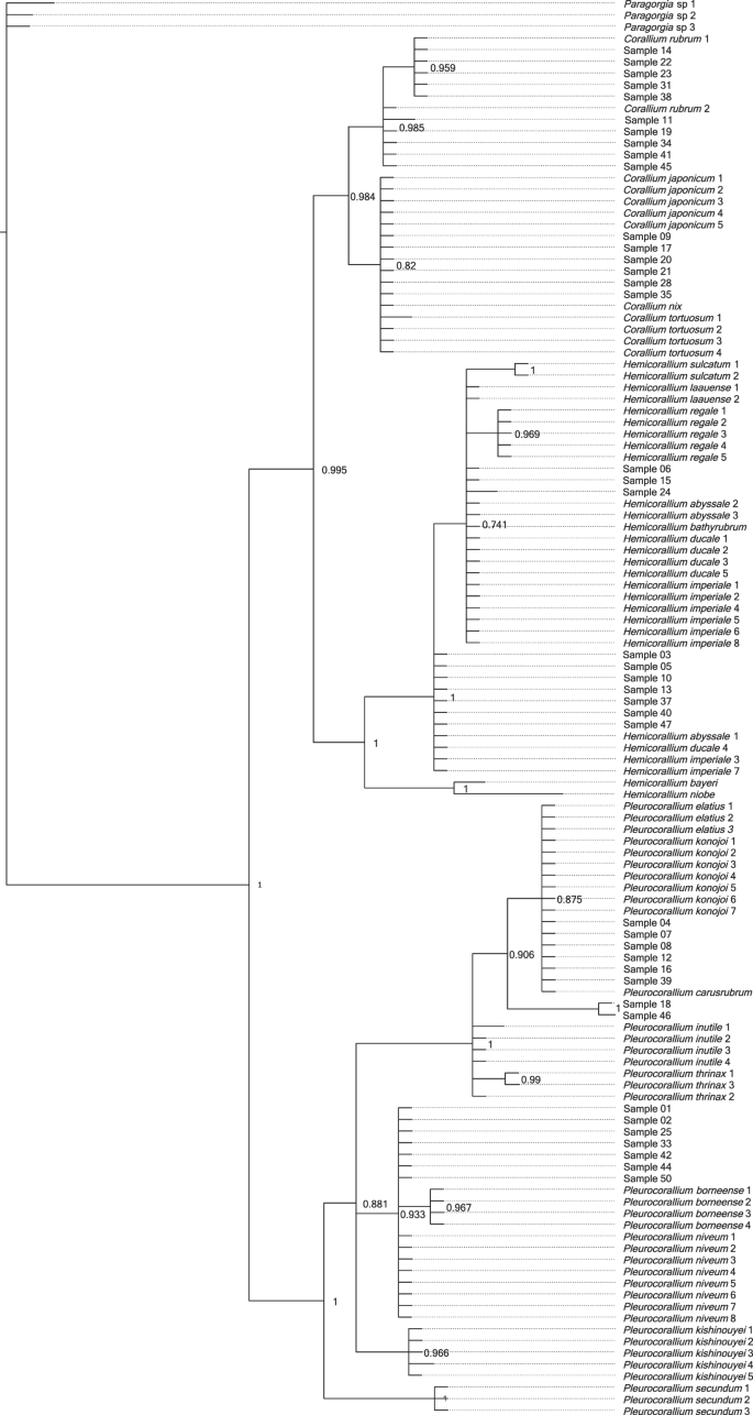 dna fingerprinting history research paper figure 4