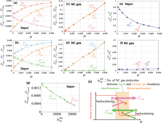 Evaporation Coefficient And Condensation Coefficient Of Vapor Under High Gas Pressure Conditions Scientific Reports