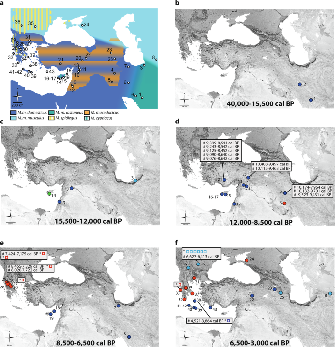 Tracking The Near Eastern Origins And European Dispersal Of The Western House Mouse Scientific Reports
