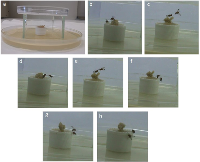 figure3