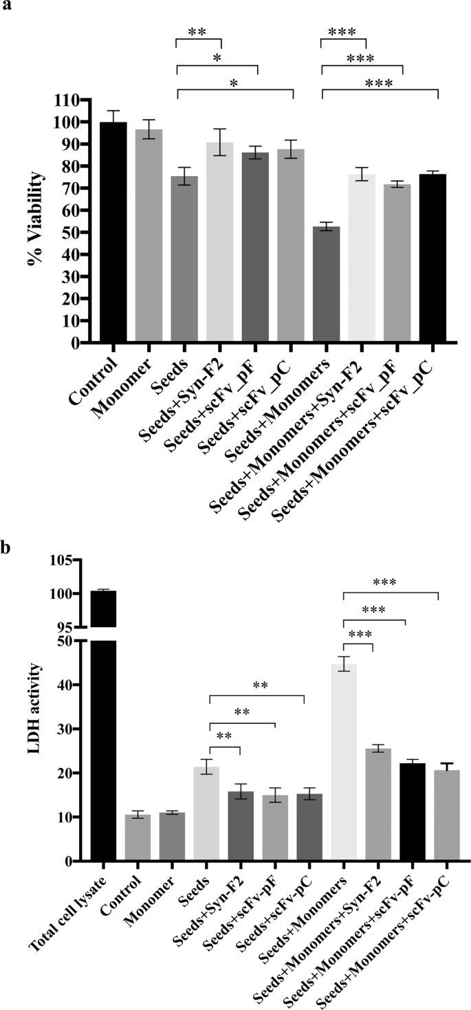 Fibrillar Form Of A Synuclein Specific Scfv Antibody Inhibits A Synuclein Seeds Induced Aggregation And Toxicity Scientific Reports