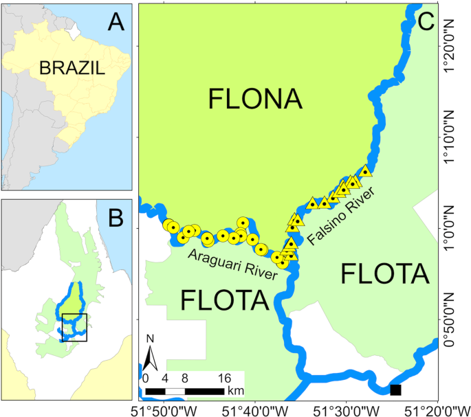figure4