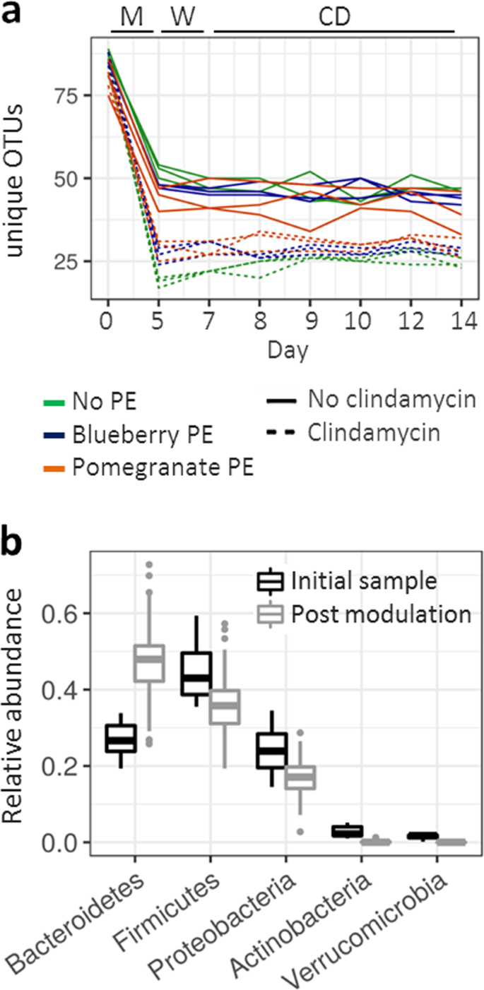 Microbiota In Vitro Modulated With Polyphenols Shows Decreased Colonization Resistance Against Clostridioides Difficile But Can Neutralize Cytotoxicity Scientific Reports