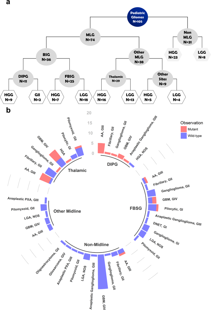 Histone H3k27m Mutation Overrides Histological Grading In Pediatric Gliomas Scientific Reports