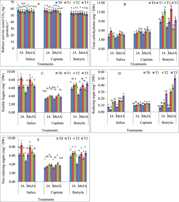 Jasmonic Acid And Methyl Jasmonate Modulate Growth Photosynthetic Activity And Expression Of Photosystem Ii Subunit Genes In Brassica Oleracea L Scientific Reports Jasmonic Acid And Methyl Jasmonate Modulate Growth Photosynthetic Activity And Expression Of Photosystem Ii Subunit Genes In Brassica Oleracea L Scientific Reports