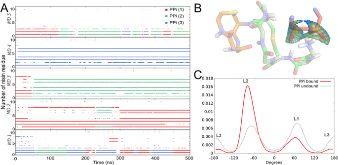Environmental And Dynamic Effects Explain How Nisin Captures Membrane Bound Lipid Ii Scientific Reports