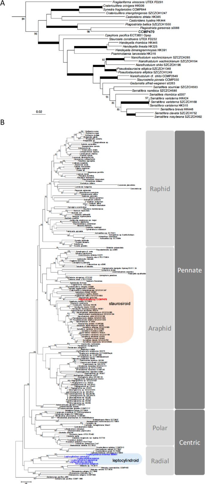figure4