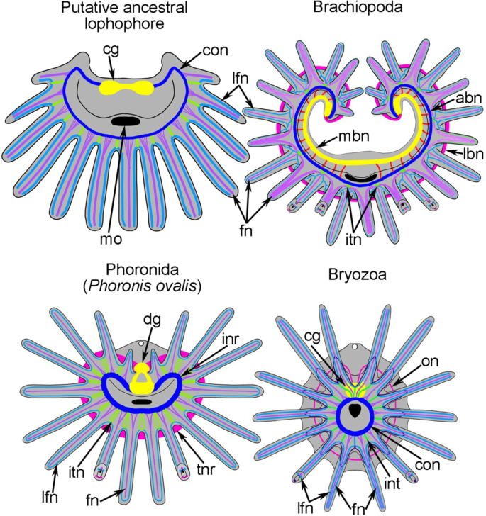 figure 11