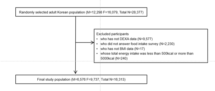 Sex And Age Specific Effects Of Energy Intake And Physical Activity On Sarcopenia Scientific Reports Sex And Age Specific Effects Of Energy Intake And Physical Activity On Sarcopenia Scientific Reports