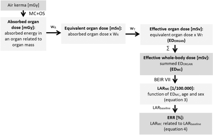 Individual Calculation of Effective Dose and Risk of Malignancy Based on  Monte Carlo Simulations after Whole Body Computed Tomography | Scientific  Reports