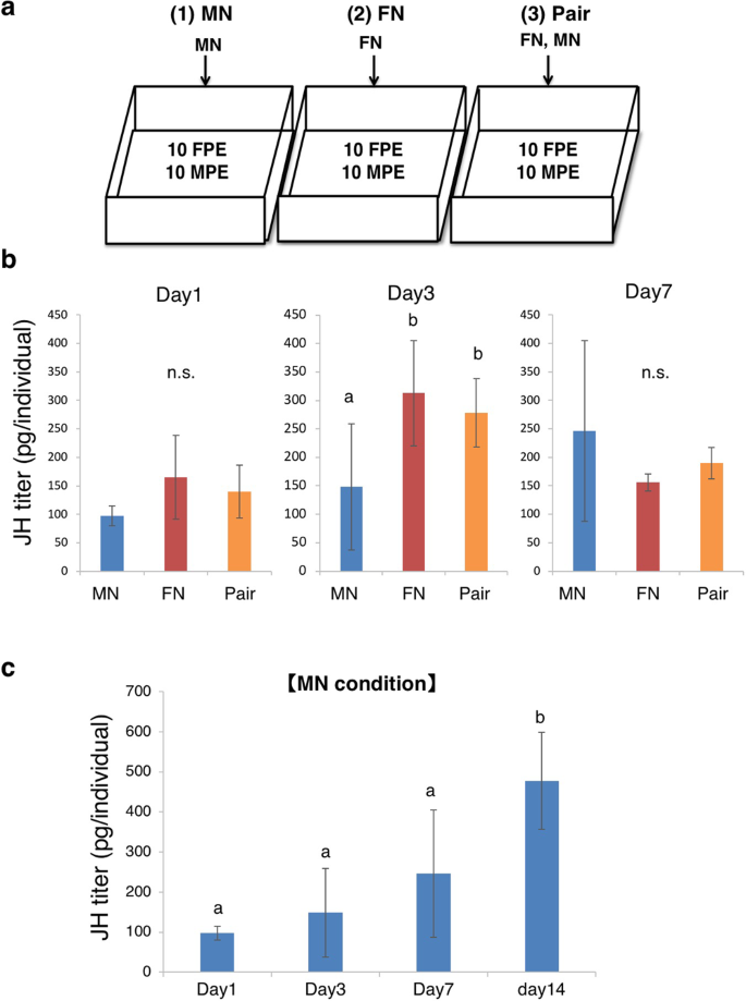 Male Neotenic Reproductives Accelerate Additional Differentiation Of Female Reproductives By Lowering Jh Titer In Termites Scientific Reports