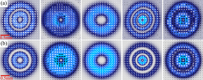 Polarisation Insensitive Generation Of Complex Vector Modes From A Digital Micromirror Device Scientific Reports Polarisation Insensitive Generation Of Complex Vector Modes From A Digital Micromirror Device Scientific Reports