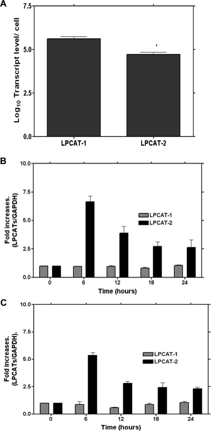 Lysophosphatidylcholine acyltransferase 2 (LPCAT2) co-localises with TLR4  and regulates macrophage inflammatory gene expression in response to LPS |  Scientific Reports