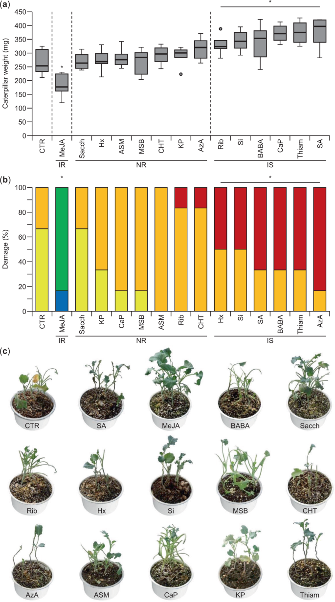Induced Tolerance To Abiotic And Biotic Stresses Of Broccoli And Arabidopsis After Treatment With Elicitor Molecules Scientific Reports