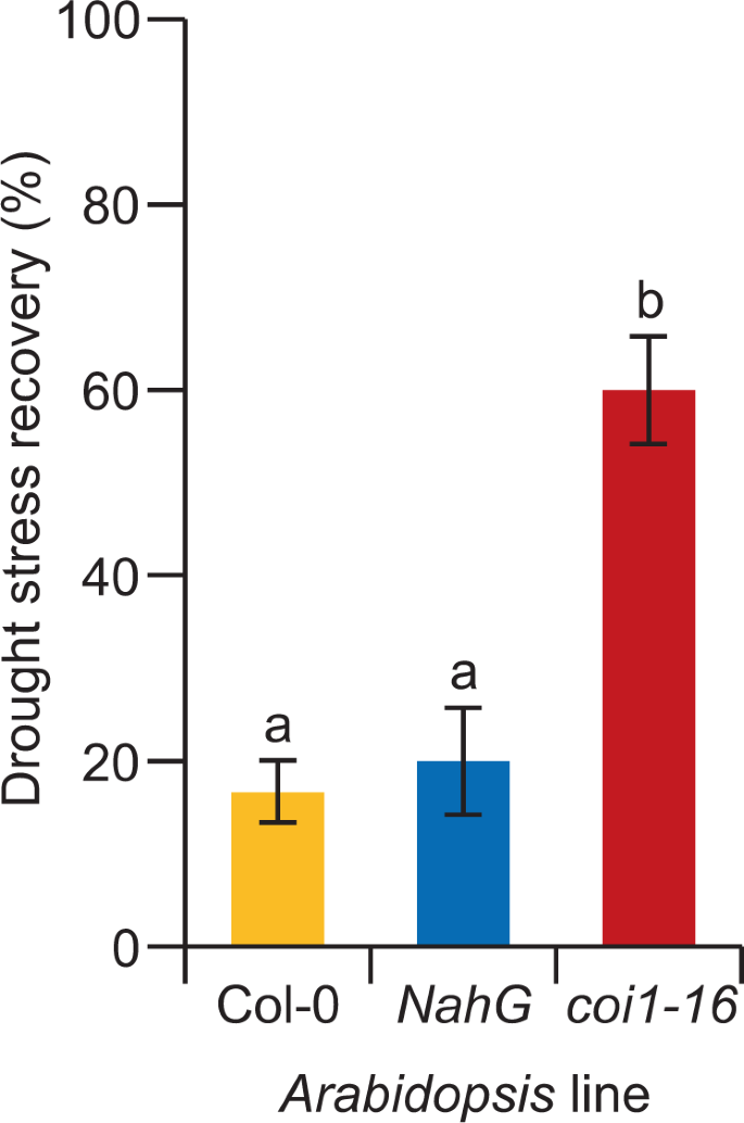 Induced Tolerance To Abiotic And Biotic Stresses Of Broccoli And Arabidopsis After Treatment With Elicitor Molecules Scientific Reports