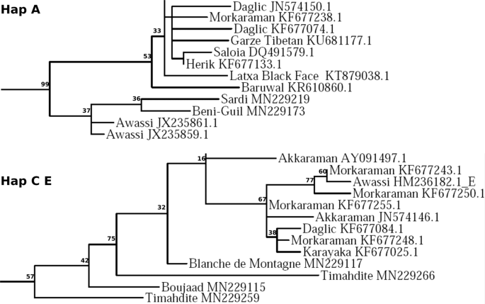 figure1