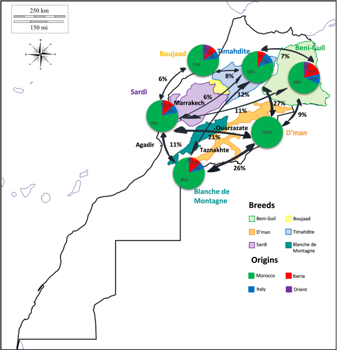figure4