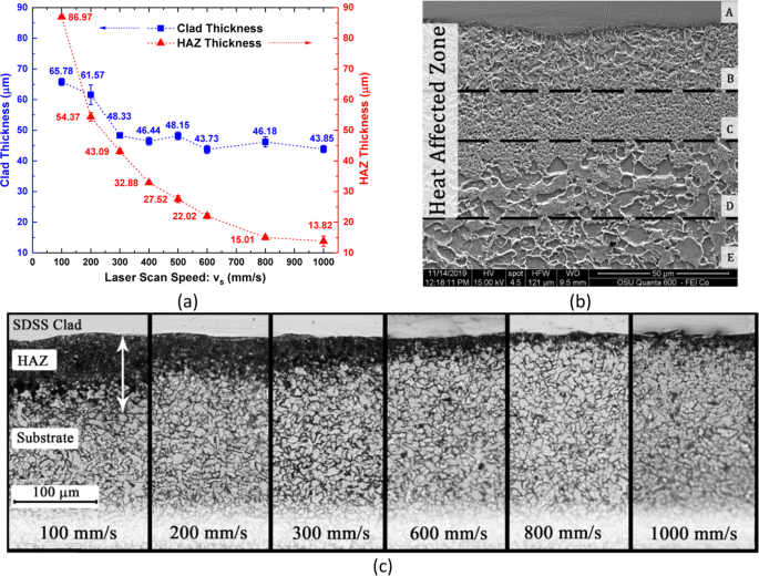 Metallurgical And Electrochemical Properties Of Super Duplex Stainless Steel Clads On Low Carbon Steel Substrate Produced With Laser Powder Bed Fusion Scientific Reports