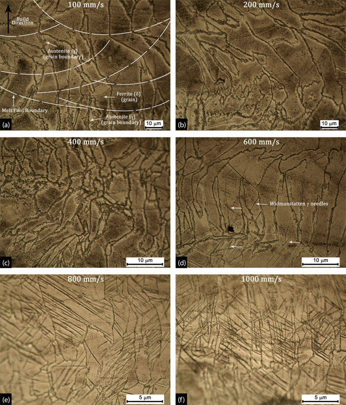 Metallurgical And Electrochemical Properties Of Super Duplex Stainless Steel Clads On Low Carbon Steel Substrate Produced With Laser Powder Bed Fusion Scientific Reports