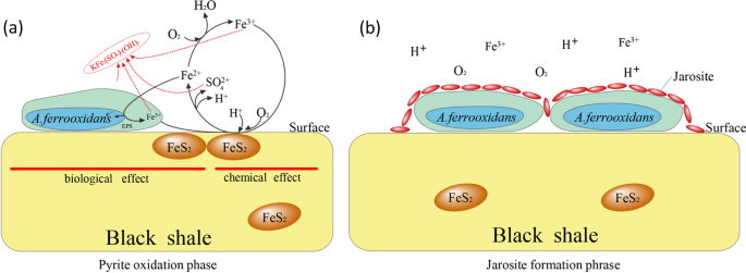 figure5
