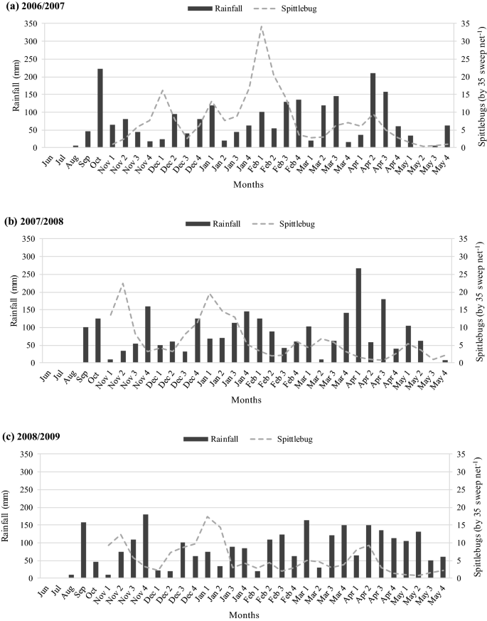 Spittlebug Damage On Tropical Grass And Its Impact In Pasture Based Beef Production Systems Scientific Reports