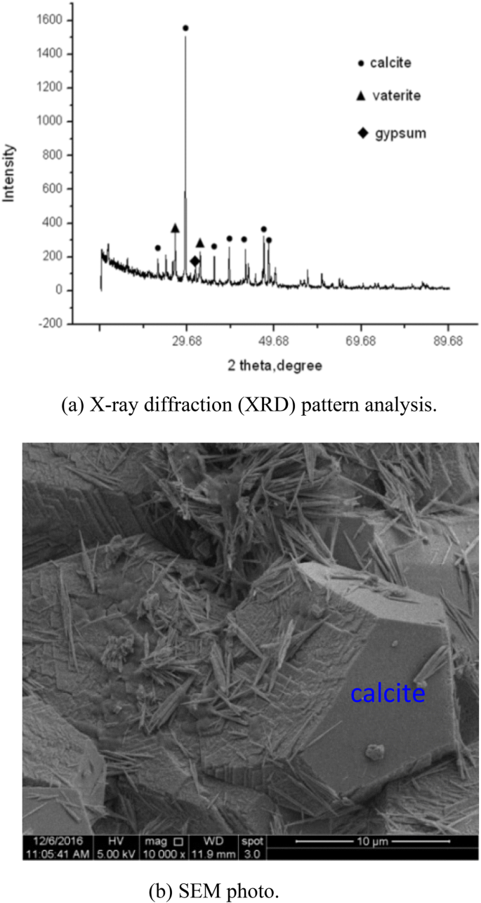 Enzyme Catalysed Mineralisation Experiment Study To Solidify Desert Sands Scientific Reports