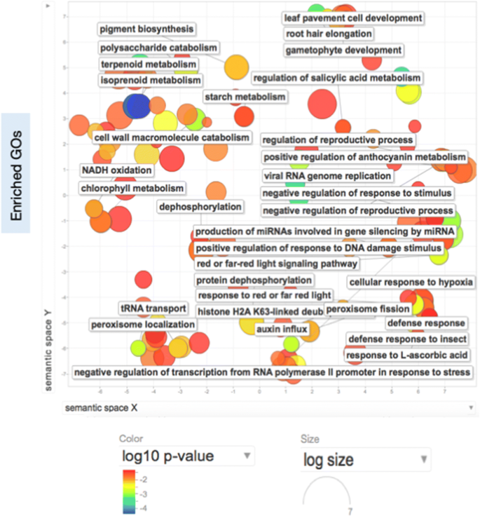 Wheat Myo Inositol Phosphate Synthase Influences Plant Growth And Stress Responses Via Ethylene Mediated Signaling Scientific Reports