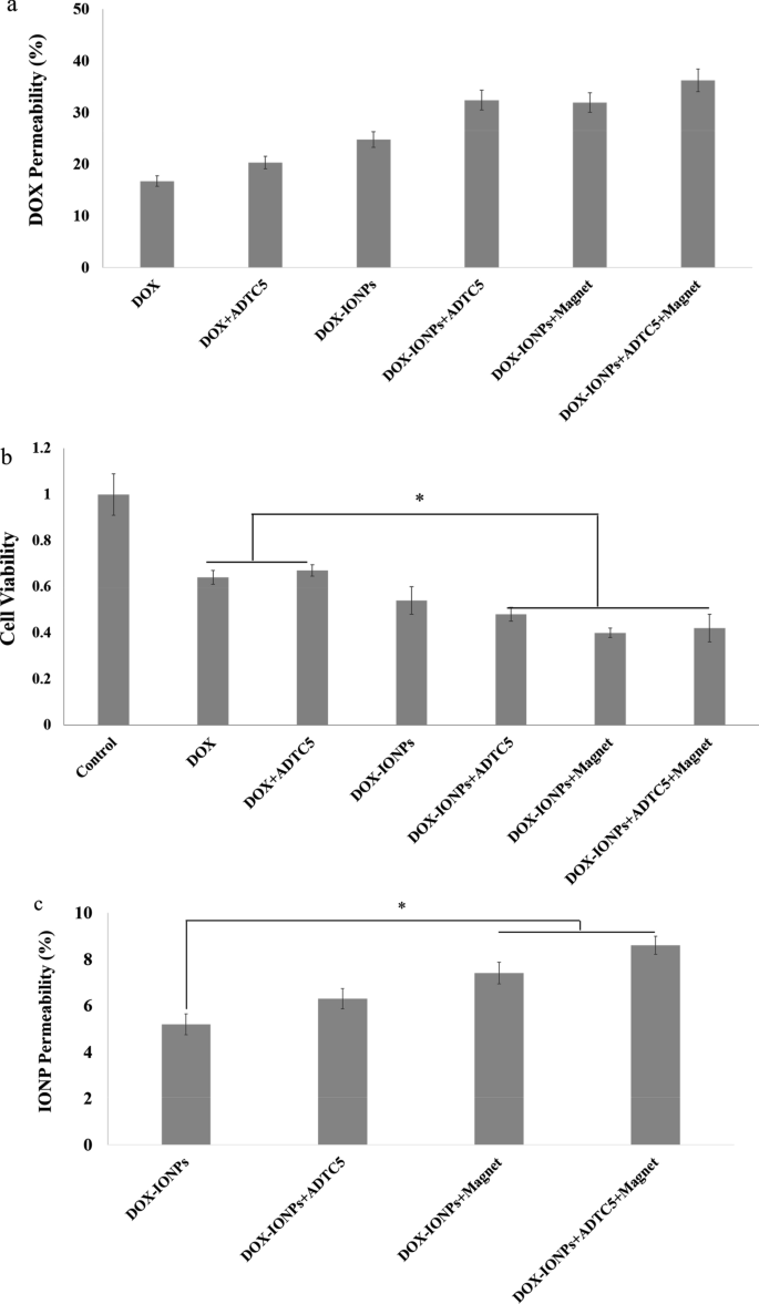 Doxorubicin Loaded Iron Oxide Nanoparticles For Glioblastoma Therapy A Combinational Approach For Enhanced Delivery Of Nanoparticles Scientific Reports