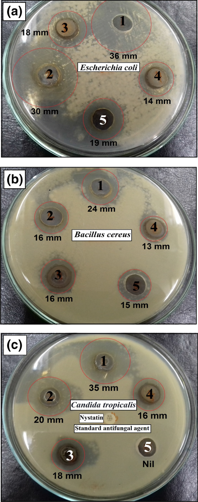 figure 15