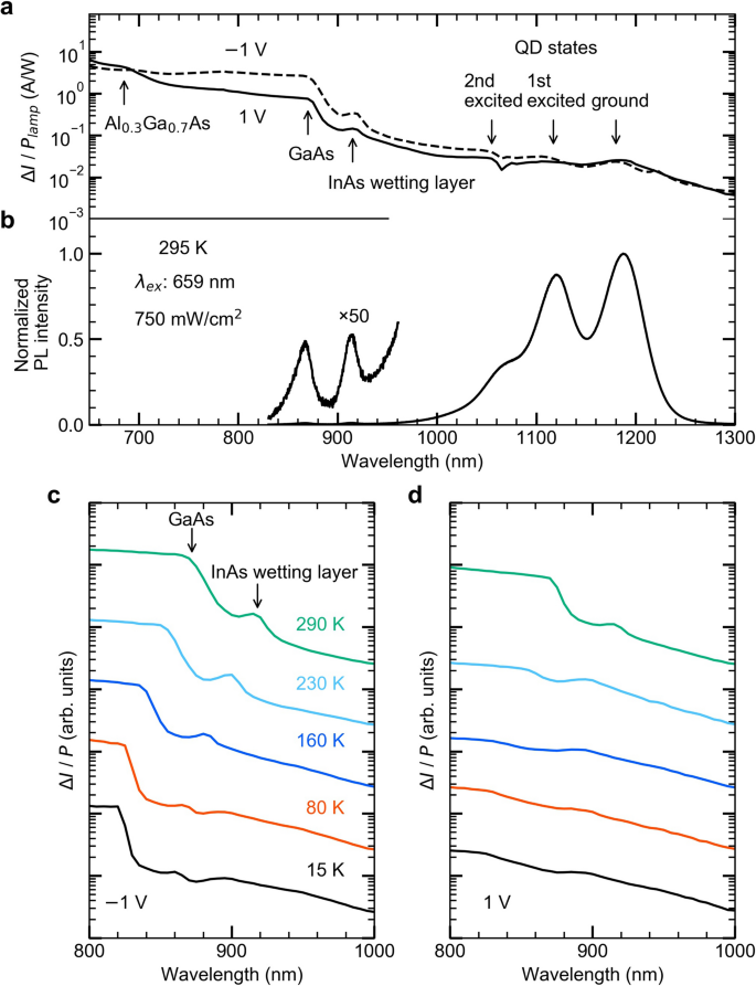 Infrared Photodetector Sensitized By Inas Quantum Dots Embedded Near An Al 0 3 Ga 0 7 As Gaas Heterointerface Scientific Reports