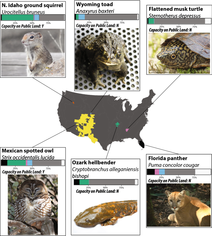 Protecting endangered species in the USA requires both public and private  land conservation | Scientific Reports