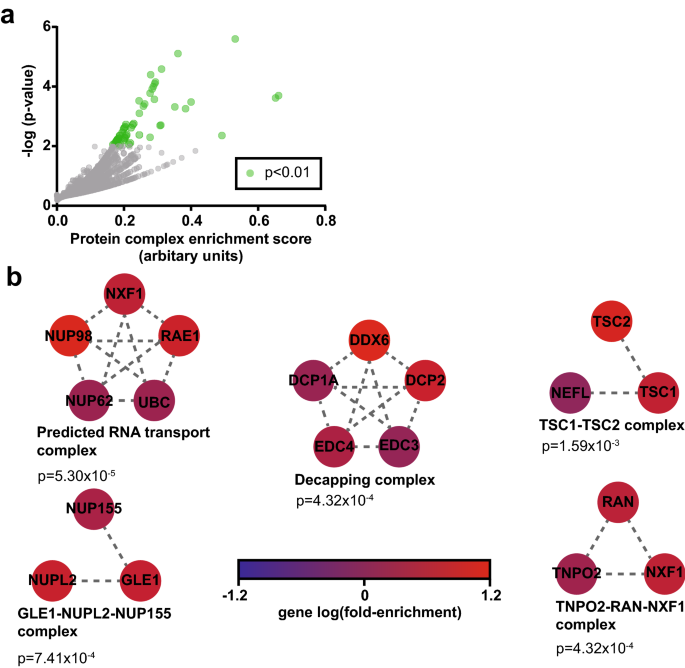 A Pooled Genome Wide Screening Strategy To Identify And Rank Influenza Host Restriction Factors In Cell Based Vaccine Production Platforms Scientific Reports