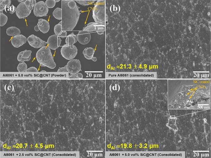 Enhanced Mechanical And Wear Properties Of Al6061 Alloy Nanocomposite Reinforced By Cnt Template Grown Core Shell Cnt Sic Nanotubes Scientific Reports
