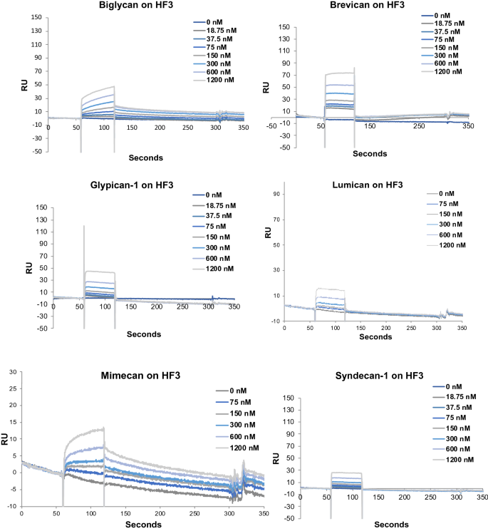 Cleavage Of Proteoglycans Plasma Proteins And The Platelet Derived Growth Factor Receptor In The Hemorrhagic Process Induced By Snake Venom Metalloproteinases Scientific Reports