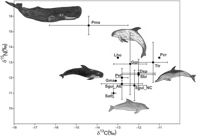 Resource partitioning among stranded aquatic mammals from Amazon and  Northeastern coast of Brazil revealed through Carbon and Nitrogen Stable  Isotopes | Scientific Reports