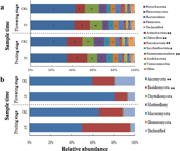 Which Can Suppress Watermelon Fusarium Wilt in Continuous Monoculture System