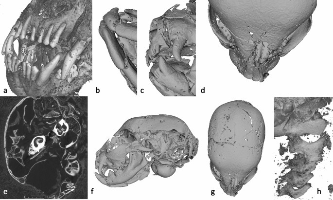 figure3