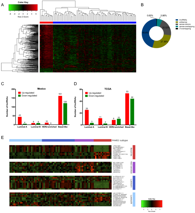 A Lncrna Landscape In Breast Cancer Reveals A Potential Role For Ac009283 1 In Proliferation And Apoptosis In Her2 Enriched Subtype Scientific Reports