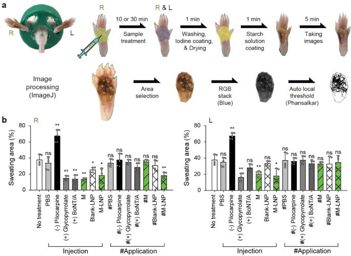 Reduction Of Focal Sweating By Lipid Nanoparticle Delivered Myricetin Scientific Reports