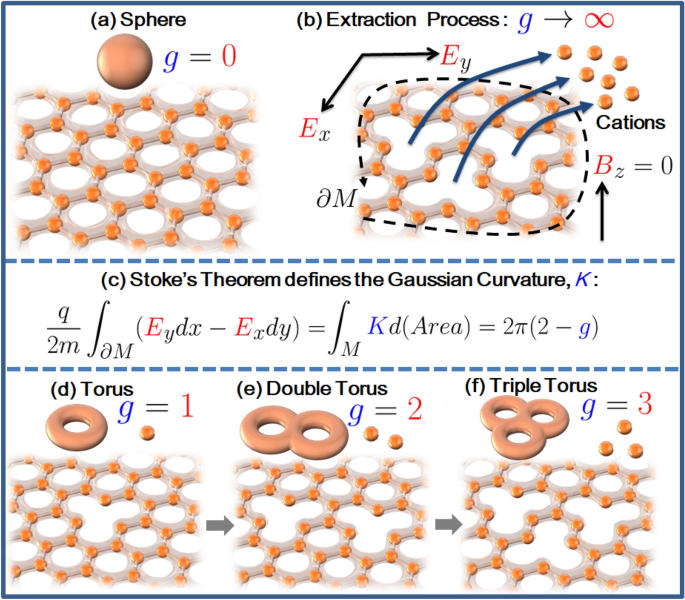 An Idealised Approach Of Geometry And Topology To The Diffusion Of Cations In Honeycomb Layered Oxide Frameworks Scientific Reports