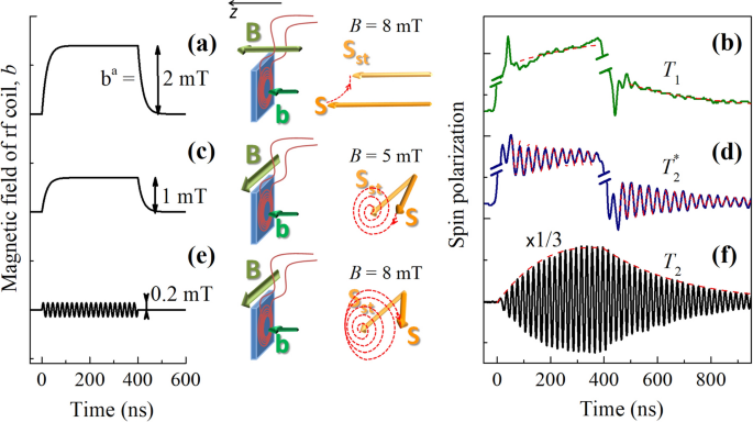 Optical Detection Of Electron Spin Dynamics Driven By Fast Variations Of A Magnetic Field A Simple Method To Measure T 1 T1 T 2 T2 And T 2 T2 In Semiconductors Scientific Reports