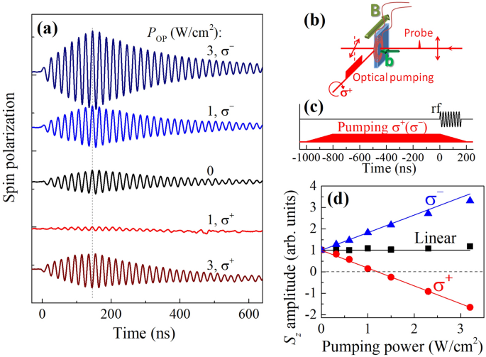 Optical Detection Of Electron Spin Dynamics Driven By Fast Variations Of A Magnetic Field A Simple Method To Measure T 1 T1 T 2 T2 And T 2 T2 In Semiconductors Scientific Reports