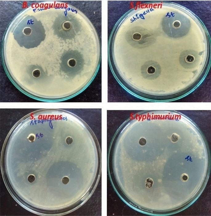 figure 14