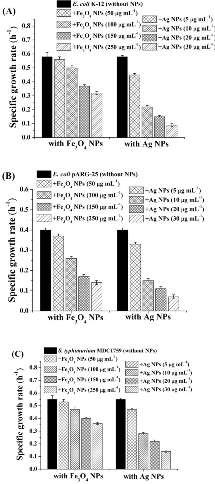 Comparable Antibacterial Effects And Action Mechanisms Of Silver And Iron Oxide Nanoparticles On Escherichia Coli And Salmonella Typhimurium Scientific Reports