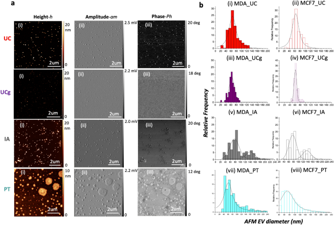 Impact Of Isolation Methods On The Biophysical Heterogeneity Of Single Extracellular Vesicles Scientific Reports